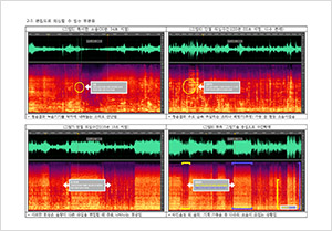 음원분석결과 보고서